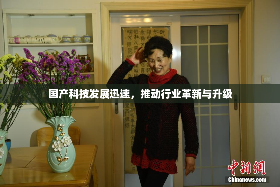 国产科技发展迅速，推动行业革新与升级