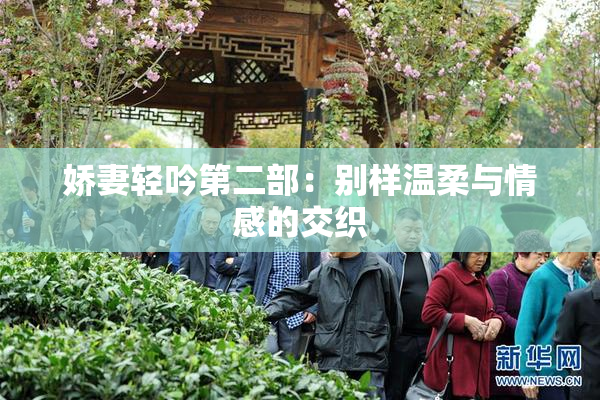娇妻轻吟第二部：别样温柔与情感的交织