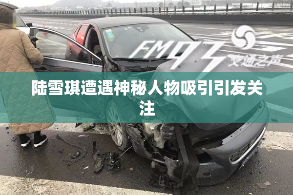 陆雪琪遭遇神秘人物吸引引发关注