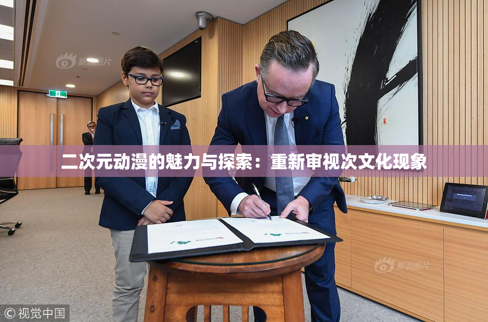 二次元动漫的魅力与探索：重新审视次文化现象