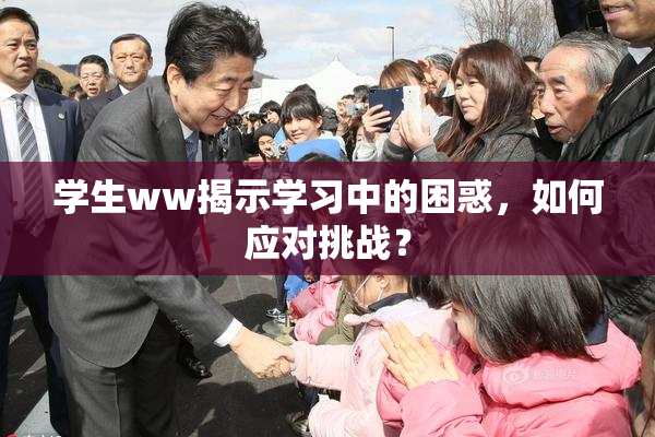 学生ww揭示学习中的困惑，如何应对挑战？