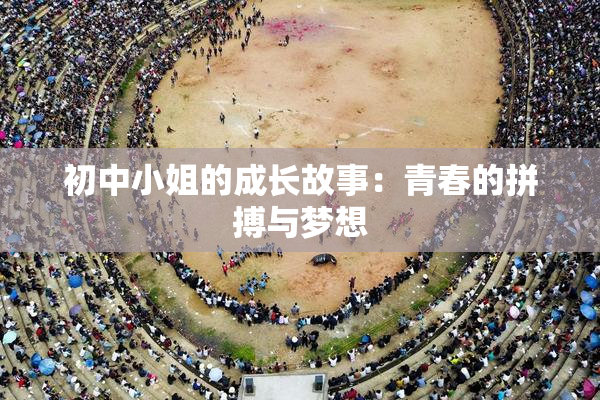 初中小姐的成长故事：青春的拼搏与梦想