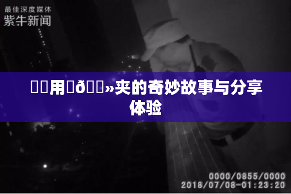 妺妺用‌🐻夹的奇妙故事与分享体验