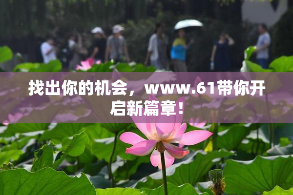 找出你的机会，www.61带你开启新篇章！