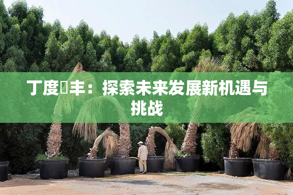 丁度巜丰：探索未来发展新机遇与挑战