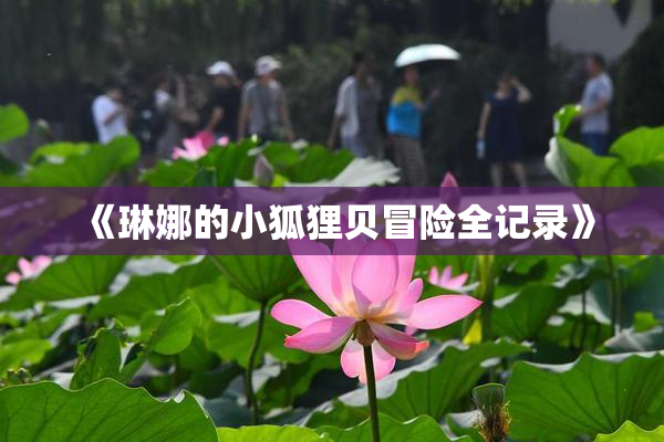 《琳娜的小狐狸贝冒险全记录》