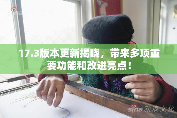 17.3版本更新揭晓，带来多项重要功能和改进亮点！