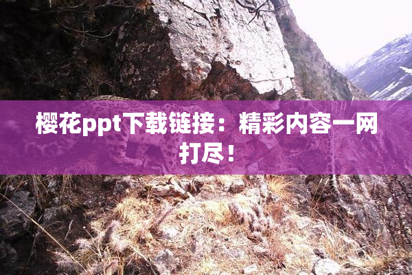 樱花ppt下载链接：精彩内容一网打尽！