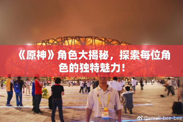 《原神》角色大揭秘，探索每位角色的独特魅力！