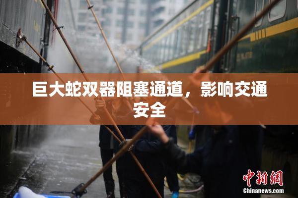 巨大蛇双器阻塞通道，影响交通安全