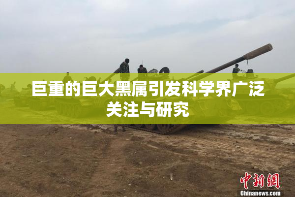 巨重的巨大黑属引发科学界广泛关注与研究