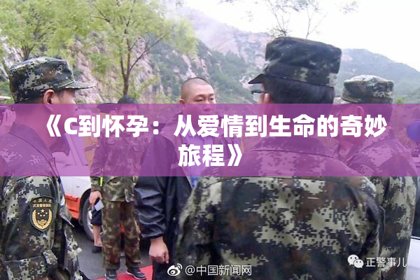 《C到怀孕：从爱情到生命的奇妙旅程》
