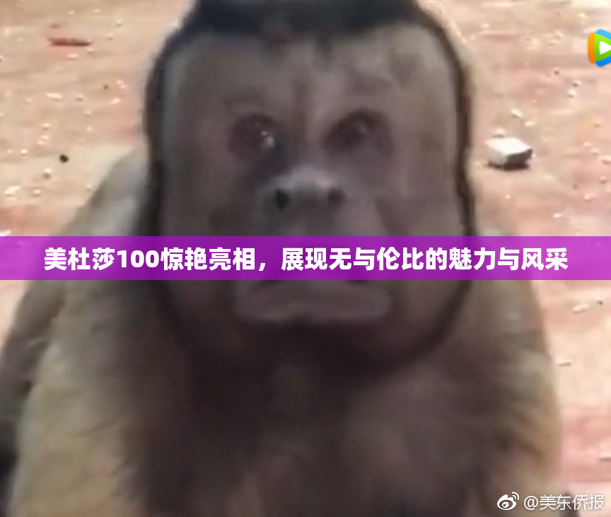 美杜莎100惊艳亮相，展现无与伦比的魅力与风采