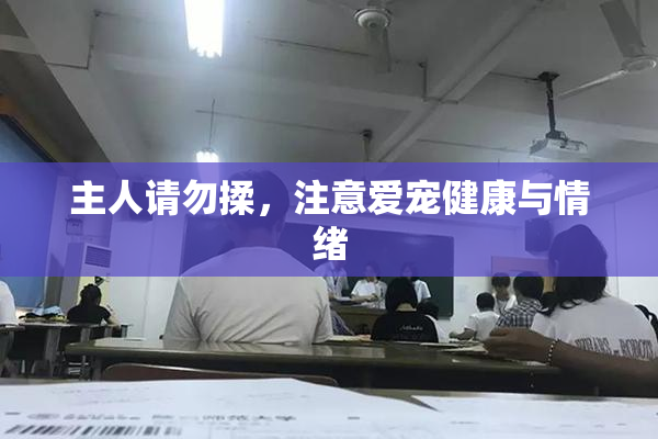 主人请勿揉，注意爱宠健康与情绪
