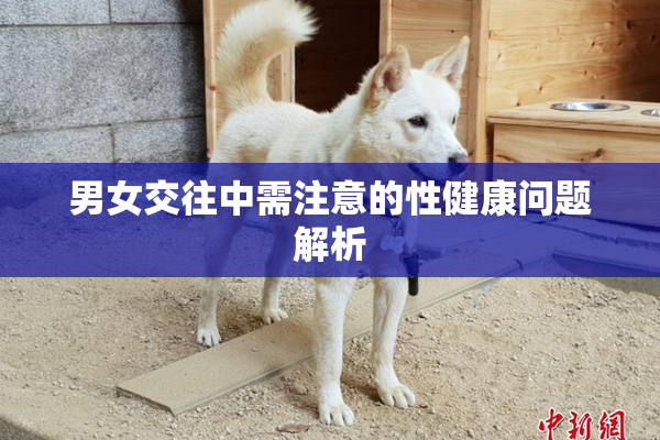 男女交往中需注意的性健康问题解析