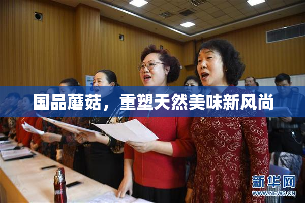 国品蘑菇，重塑天然美味新风尚