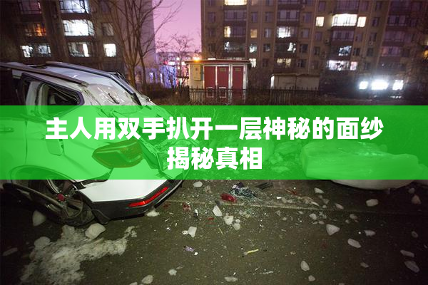 主人用双手扒开一层神秘的面纱揭秘真相