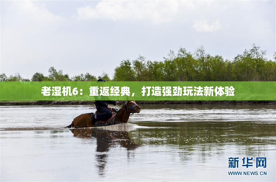 老湿机6：重返经典，打造强劲玩法新体验