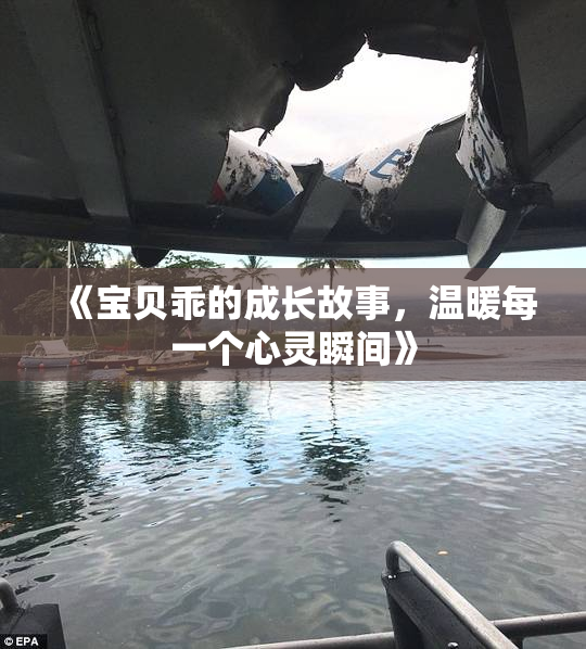 《宝贝乖的成长故事，温暖每一个心灵瞬间》