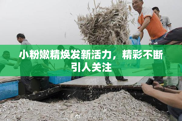 小粉嫩精焕发新活力，精彩不断引人关注