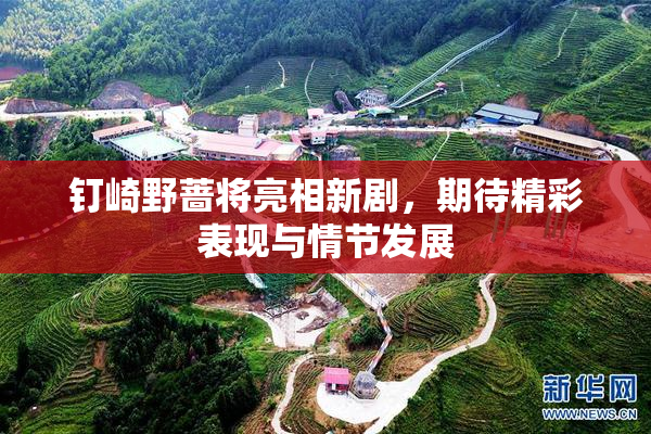 钉崎野蔷将亮相新剧，期待精彩表现与情节发展