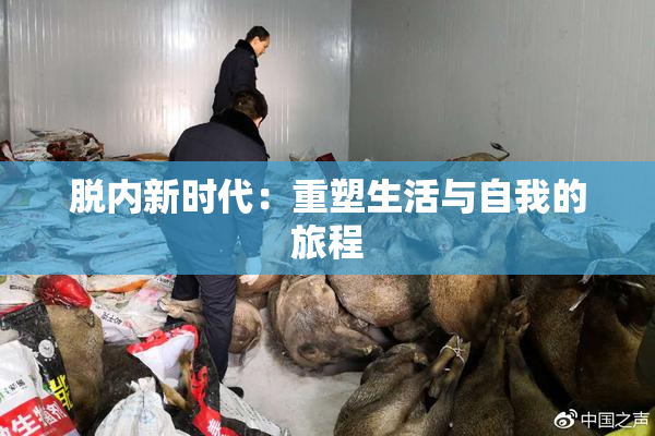 脱内新时代：重塑生活与自我的旅程