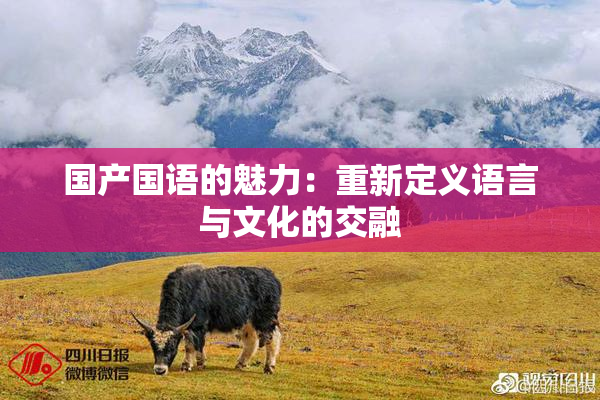 国产国语的魅力：重新定义语言与文化的交融