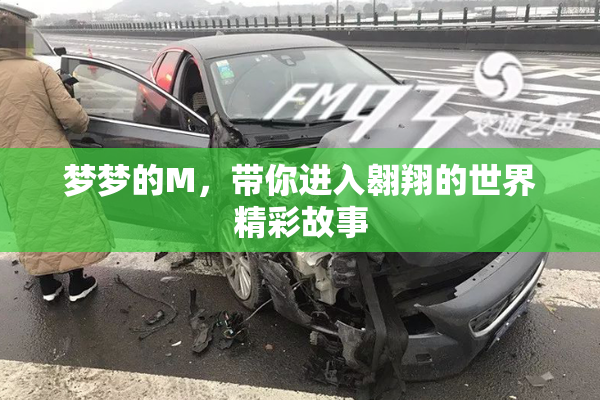 梦梦的M，带你进入翱翔的世界精彩故事
