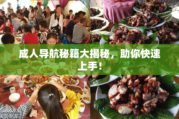 成人导航秘籍大揭秘，助你快速上手！