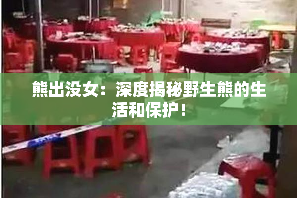 熊出没女：深度揭秘野生熊的生活和保护！