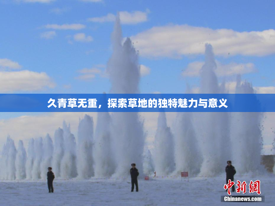 久青草无重，探索草地的独特魅力与意义
