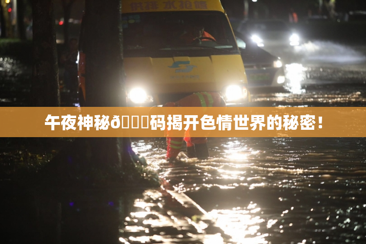 午夜神秘🈚码揭开色情世界的秘密！