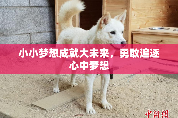 小小梦想成就大未来，勇敢追逐心中梦想