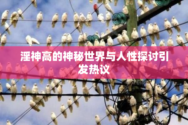 淫神高的神秘世界与人性探讨引发热议