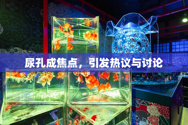 尿孔成焦点，引发热议与讨论