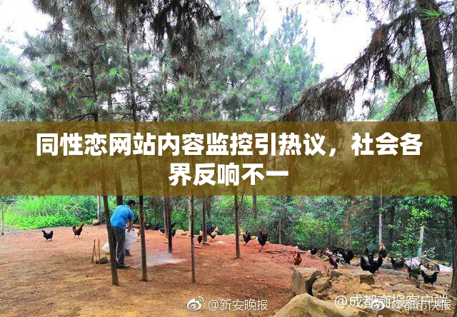 同性恋网站内容监控引热议，社会各界反响不一
