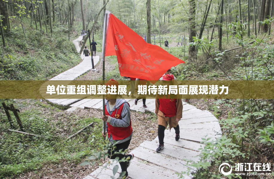 单位重组调整进展，期待新局面展现潜力