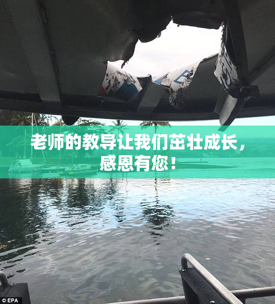 老师的教导让我们茁壮成长，感恩有您！