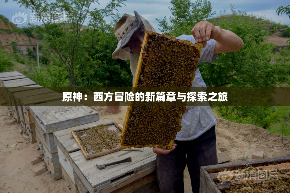 原神：西方冒险的新篇章与探索之旅