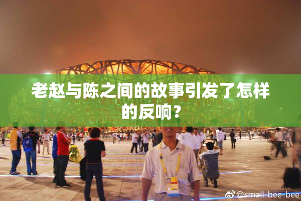 老赵与陈之间的故事引发了怎样的反响？