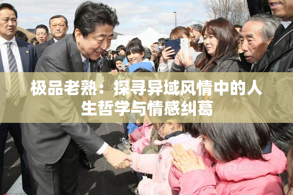 极品老熟：探寻异域风情中的人生哲学与情感纠葛
