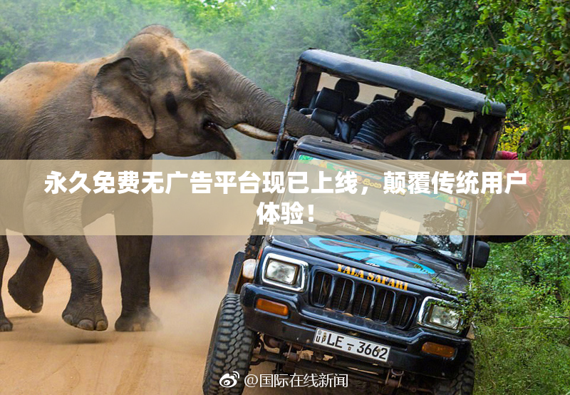 永久免费无广告平台现已上线，颠覆传统用户体验！