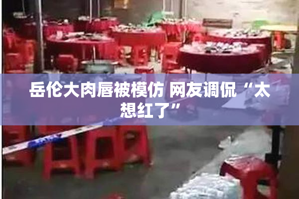 岳伦大肉唇被模仿 网友调侃“太想红了”