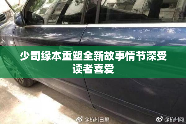 少司缘本重塑全新故事情节深受读者喜爱