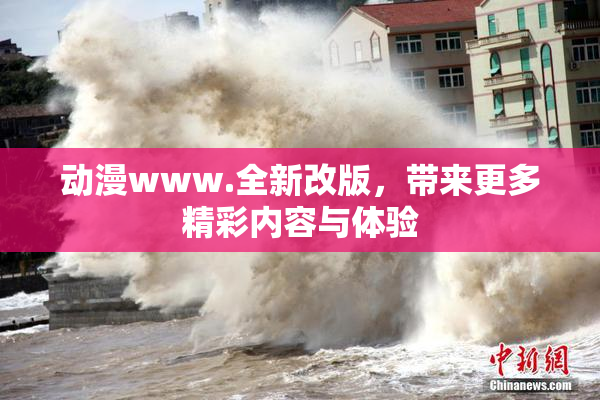 动漫www.全新改版，带来更多精彩内容与体验