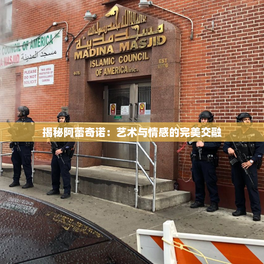 揭秘阿蕾奇诺：艺术与情感的完美交融