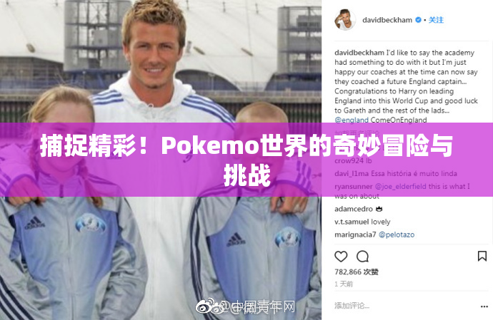 捕捉精彩！Pokemo世界的奇妙冒险与挑战