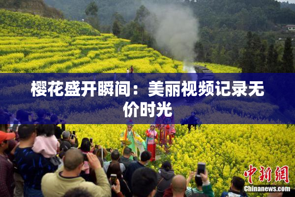 樱花盛开瞬间：美丽视频记录无价时光