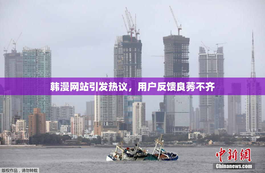 韩漫网站引发热议，用户反馈良莠不齐
