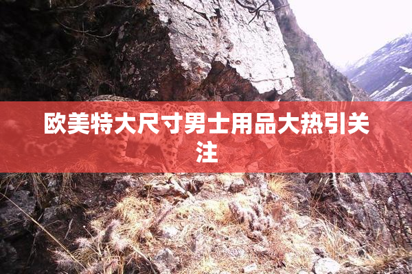 欧美特大尺寸男士用品大热引关注